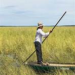 Where does wild rice come from?1