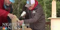 Former President Jimmy Carter Back To Building Homes One Day After Fall | NBC Nightly News