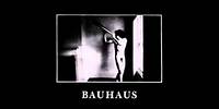 Bauhaus - In the Flat Field [1980]