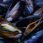 eating raw mussels in shell3