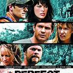 a perfect getaway movie posters2