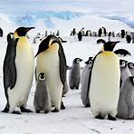 What is the geographical location of Antarctica?4