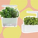 grow plants indoors system3