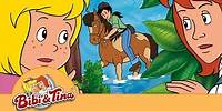 Bibi & Tina - Ein Pony zum Knuddeln