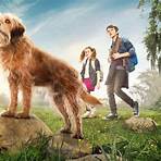 Is 'Triple Dog' a good movie?4