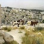 how did the city of amman get its name based on the word meaning to build4