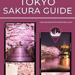 japan cherry blossom festival4