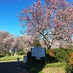 Oak Hill Cemetery (Washington, D.C.) wikipedia3