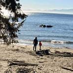 best vancouver island campgrounds3