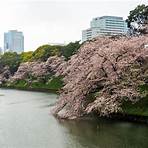 japan cherry blossom festival1