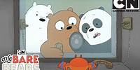 Captain Craboo - We Bare Bears | Cartoon Network | Cartoons for Kids