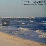 Where is the Gulf Shores cam located?4