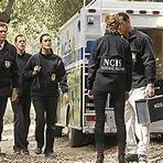 NCIS Season 82