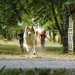 Lassie – Eine abenteuerliche Reise Film5