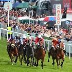 daily papers horse racing tips2