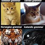 芬兰说什么语言?1
