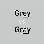 gray area vs grey area3