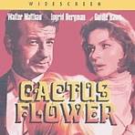 Cactus Flower filme1