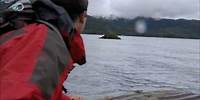 Man vs. Wild - Alaska - Whale Watch