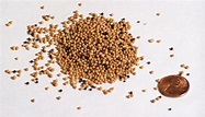 Mustard Seed | Parishable Items