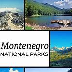 Which Montenegro national park is closest to Kotor?1