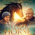 Orphan Horse film4