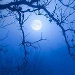 Blue Moon3