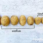 How much does 10 pound russet potato weigh?2