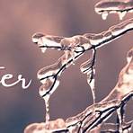 rachel winter facebook cover2