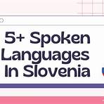 german language in slovenia2