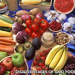 What are the disadvantages of genetically modified food?2