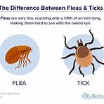 fleas and ticks wikipedia2