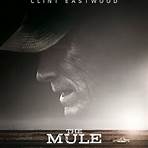The Mule Film4