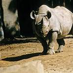 What is a Rhinos habitat?4
