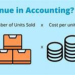 what is an example of an unitary system of accounting called the total revenue2