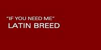 IF YOU NEED ME - LATIN BREED