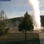 where did malle malle live webcam yellowstone2