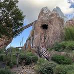 How fast does Expedition Everest go?4