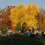 Princeton Cemetery wikipedia3